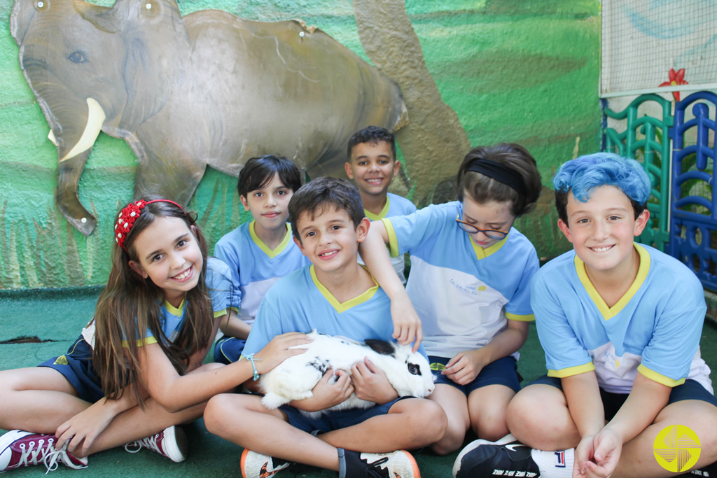 Fundamental - Colgio Le Perini. Educao Infantil e Ensino Fundamental. Indaiatuba, SP