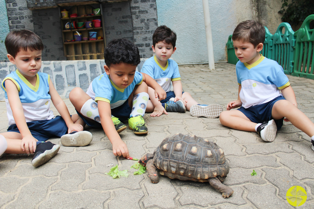 Infantil - Colgio Le Perini. Educao Infantil e Ensino Fundamental. Indaiatuba, SP