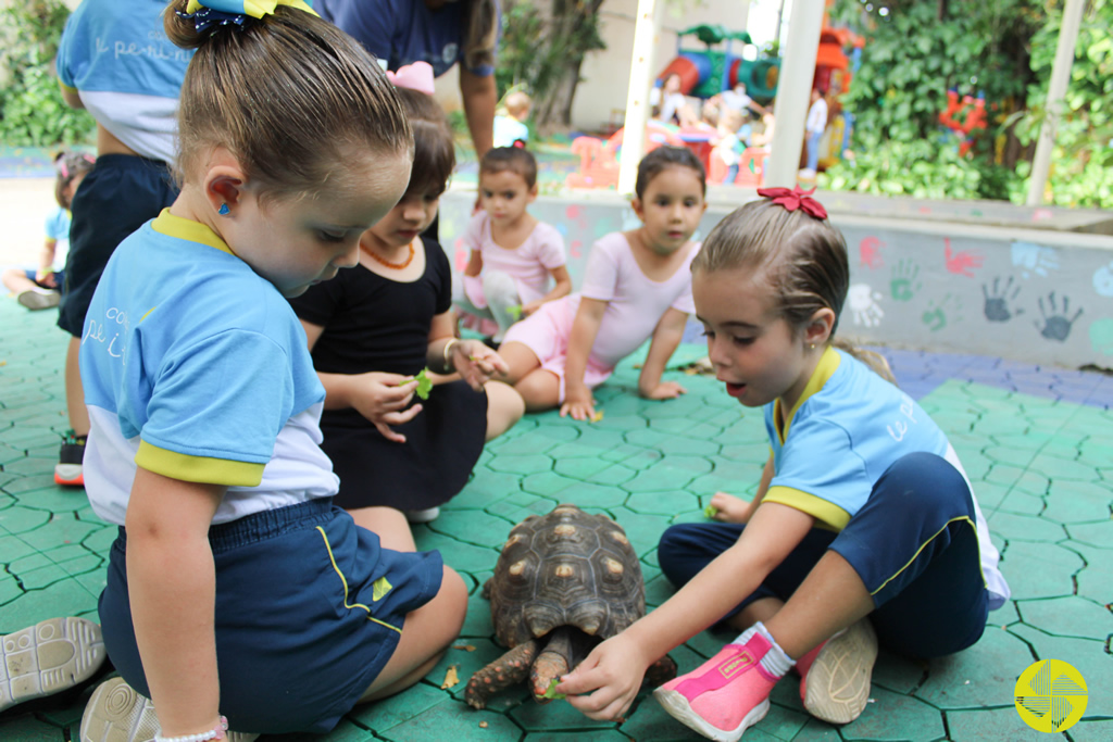 Infantil - Colgio Le Perini. Educao Infantil e Ensino Fundamental. Indaiatuba, SP