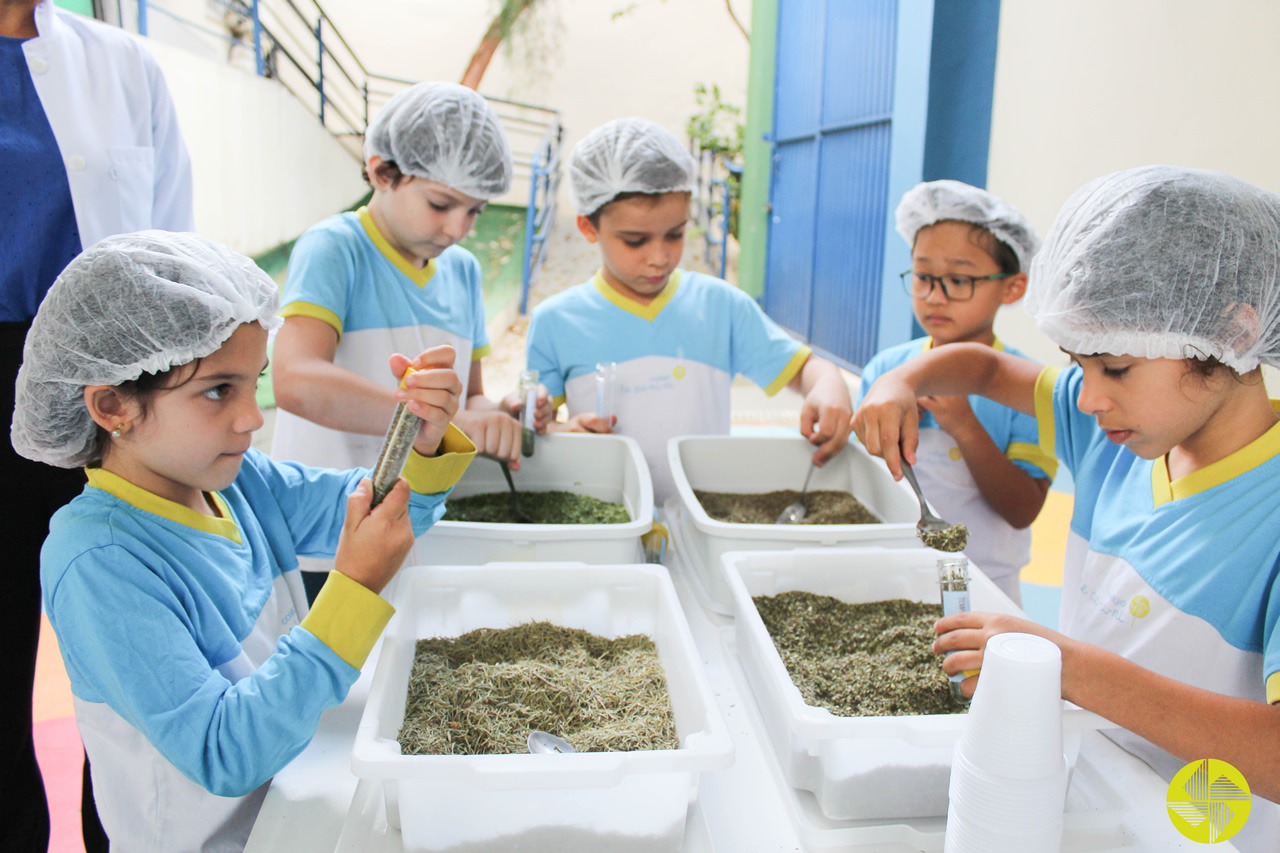 Ensino Integral - Colgio Le Perini. Educao Infantil e Ensino Fundamental. Indaiatuba, SP