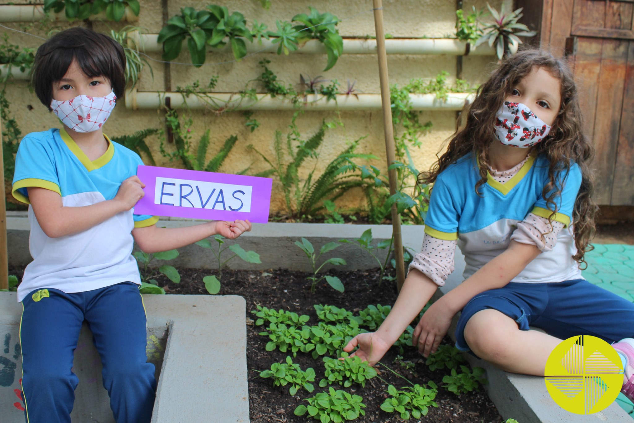 A vida das plantas - Colgio Le Perini. Educao Infantil e Ensino Fundamental. Indaiatuba, SP