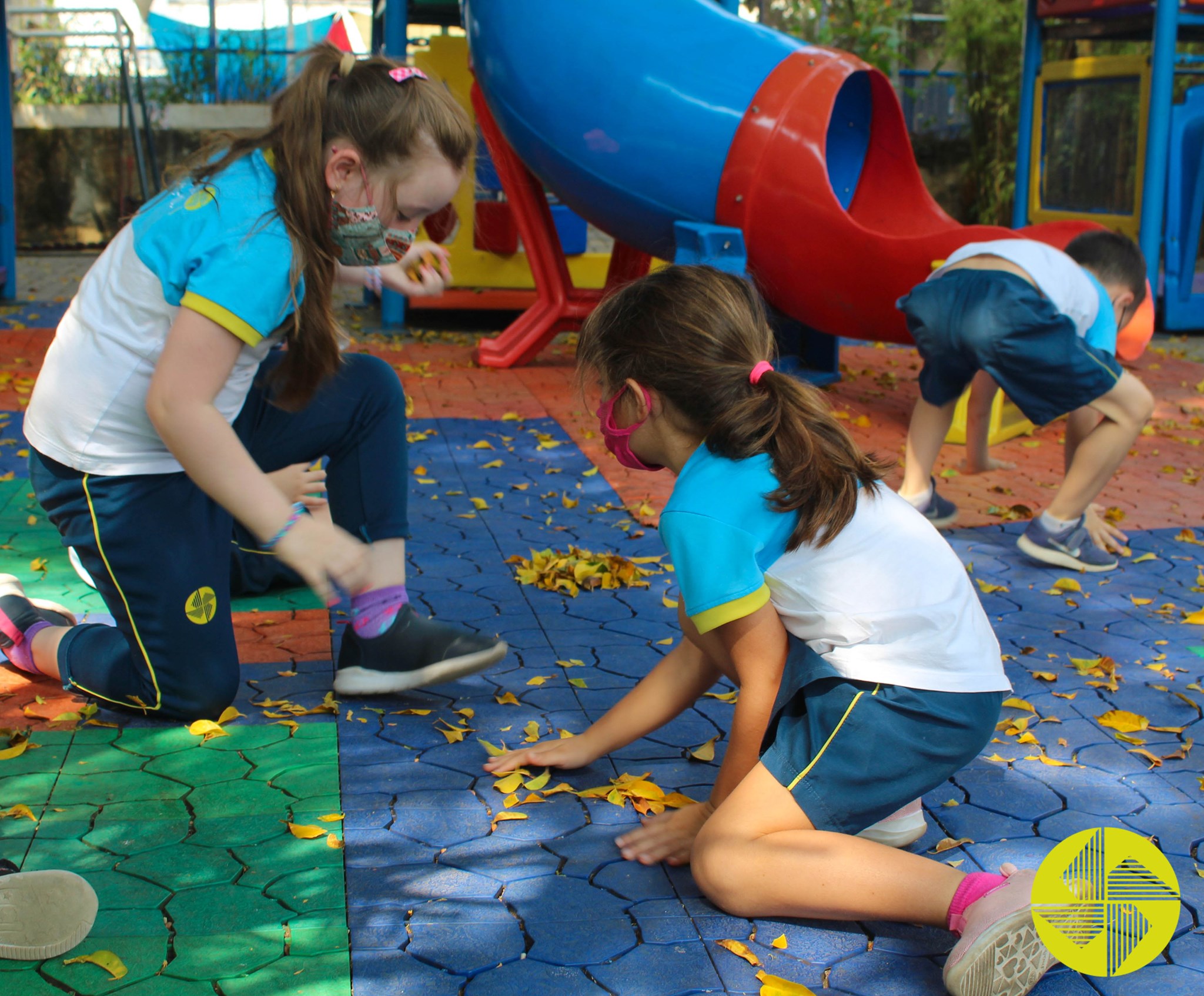 A  rvore  Generosa - Colgio Le Perini. Educao Infantil e Ensino Fundamental. Indaiatuba, SP