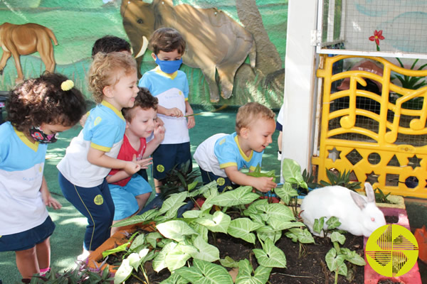 Galinha Xadrez e Obax - Colgio Le Perini. Educao Infantil e Ensino Fundamental. Indaiatuba, SP