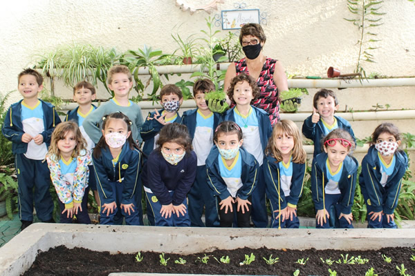 Almeirão, cebolinha, salsinha - Colégio Le Perini. Educação Infantil e Ensino Fundamental. Indaiatuba, SP