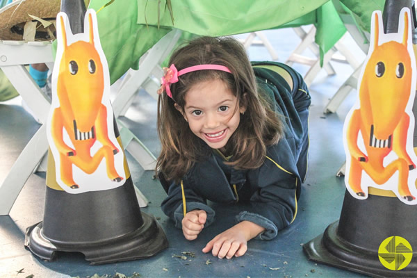 Histrias e brincadeiras com a Cuca - Colgio Le Perini. Educao Infantil e Ensino Fundamental. Indaiatuba, SP