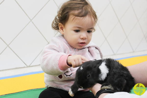 Convvio com Animais - Colgio Le Perini. Educao Infantil e Ensino Fundamental. Indaiatuba, SP