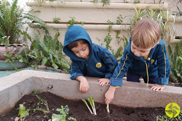 Respeitar e preservar o meio ambiente - Colgio Le Perini. Educao Infantil e Ensino Fundamental. Indaiatuba, SP