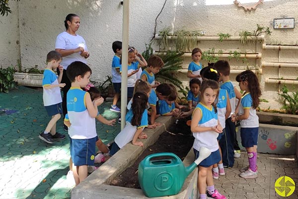 Aprendendo sobre o ciclo das plantas - Colgio Le Perini. Educao Infantil e Ensino Fundamental. Indaiatuba, SP