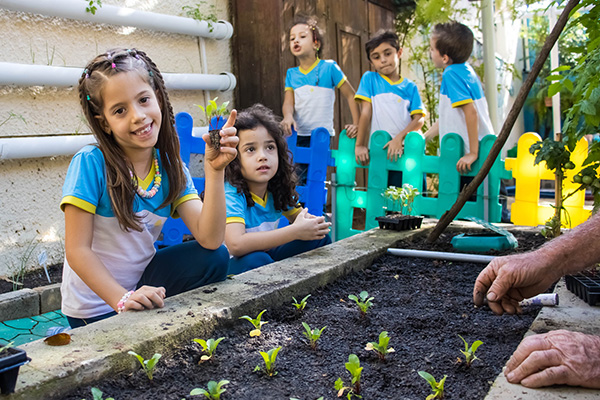 Mãos na terra, coração na natureza! - Colégio Le Perini. Educação Infantil e Ensino Fundamental. Indaiatuba, SP