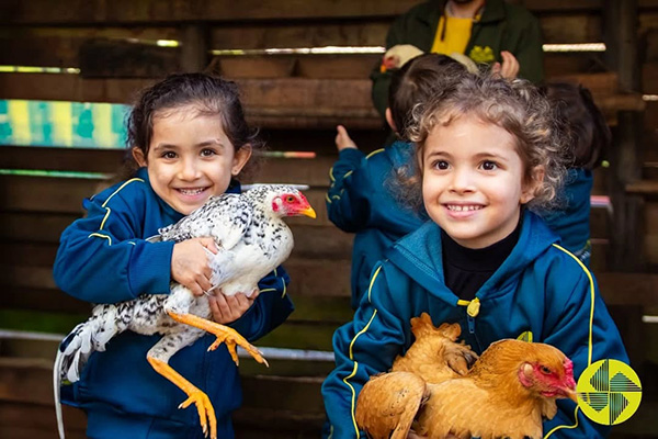 Um passeio cheio de vida e descobertas! - Colgio Le Perini. Educao Infantil e Ensino Fundamental. Indaiatuba, SP