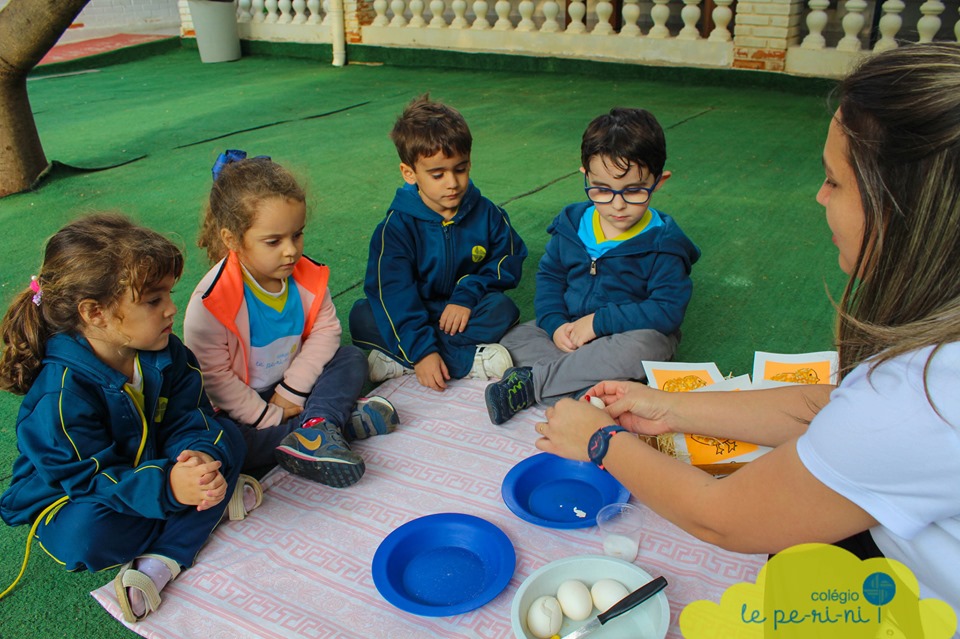 Conhecendo mais sobre as aves - Maternal II - Colgio Le Perini. Educao Infantil e Ensino Fundamental. Indaiatuba, SP