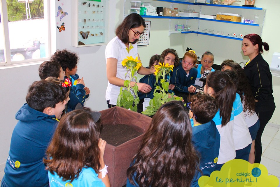 Botnicos - Colgio Le Perini. Educao Infantil e Ensino Fundamental. Indaiatuba, SP