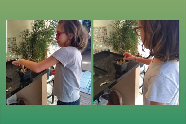 Cuidados com as plantas e com a natureza - Colgio Le Perini. Educao Infantil e Ensino Fundamental. Indaiatuba, SP