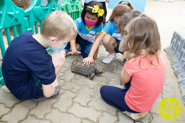 Curso de Frias - Colgio Le Perini. Educao Infantil e Ensino Fundamental. Indaiatuba, SP