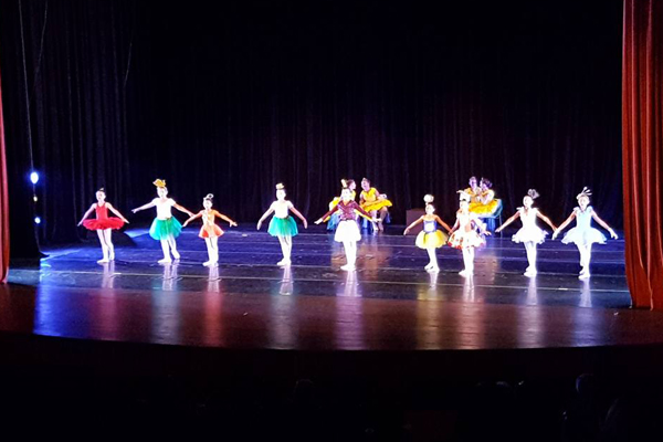 22 Danarte de Salto/SP - Colgio Le Perini. Educao Infantil e Ensino Fundamental. Indaiatuba, SP