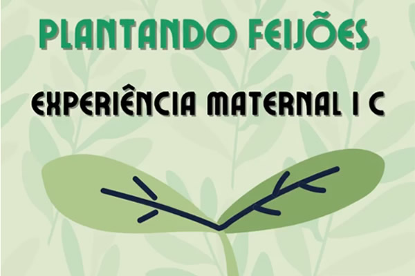 Plantando feijões - Colégio Le Perini. Educação Infantil e Ensino Fundamental. Indaiatuba, SP