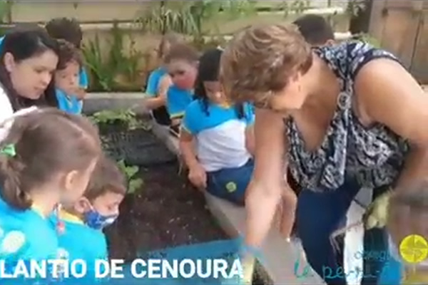 Plantando e acompanhando o crescimento - Colgio Le Perini. Educao Infantil e Ensino Fundamental. Indaiatuba, SP